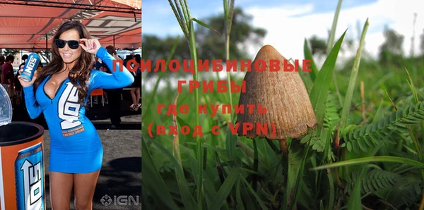 марихуана Тавда