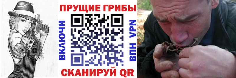 Купить где  Иноземцево  Псилоцибиновые грибы Psilocybe 